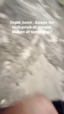 Buaya hidup di air