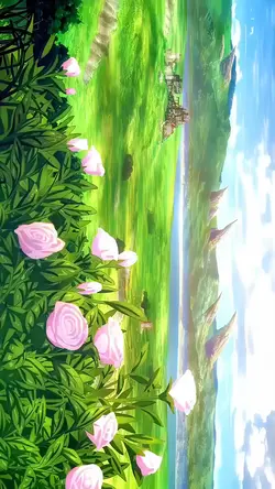 Anime summ
