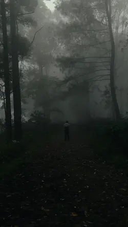 sounds of nature