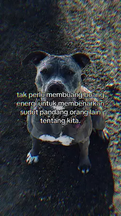 no mirror