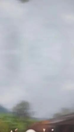 THAI REMIX