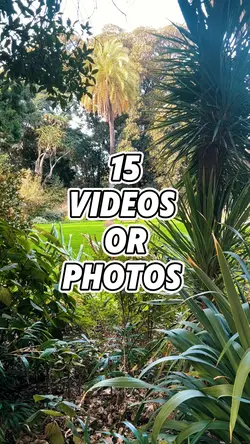 Mini vlog video