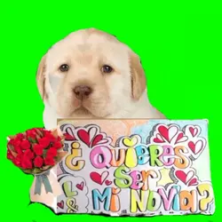 Quieres ser mi