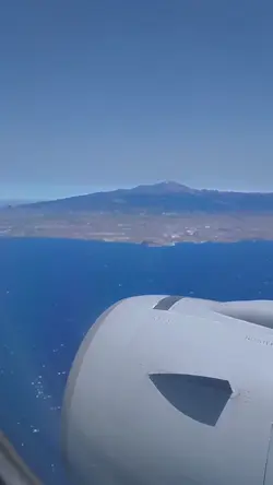 goodbye 