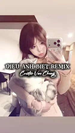 Điều Anh Biết Remix