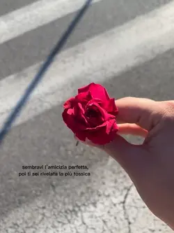 amicizia tossica 