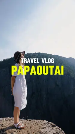 Papaoutai | Vlog