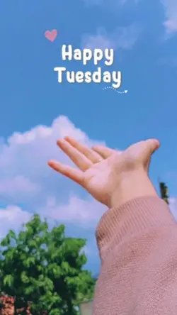 happy tuesday