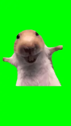 RAT LAUGHING