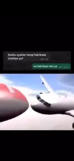Mal mısın amk