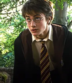 Harry 😍