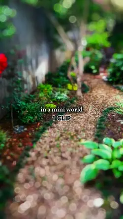 1 Clip Mini World