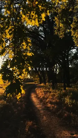 nature