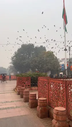 Delhi Trip