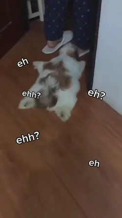 eh eh? ehh?