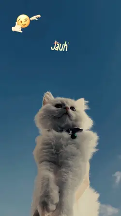 lirik estetik