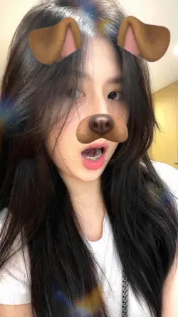 filter dog
