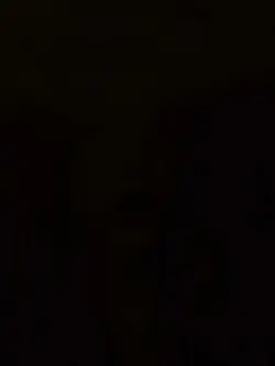Fyp?