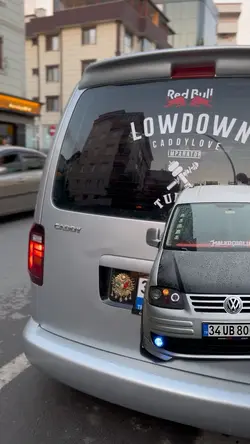 TİMSAHLAR