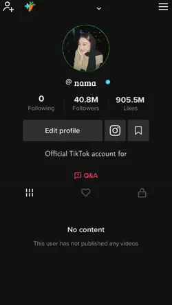 foto profil tiktok
