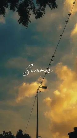 summer vibes