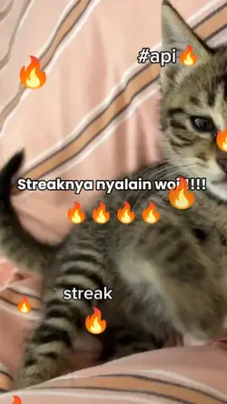 streaks api