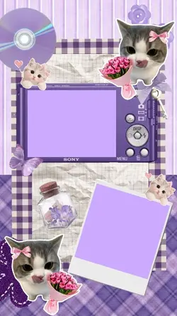 purple frame