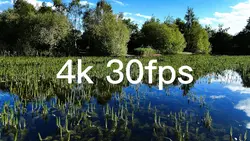 Carp Fishing @you