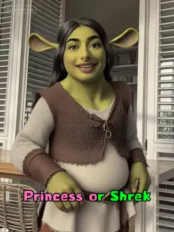 Princess Or Shrek