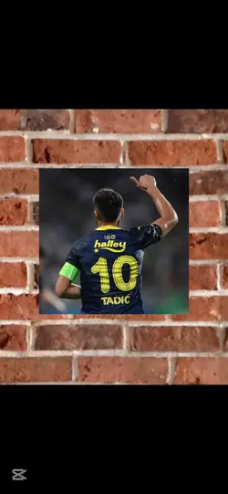 Güle güle tadic