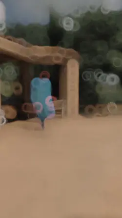 Ahwarun slow mo 