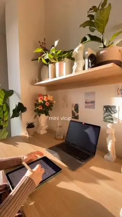 mini vlog 