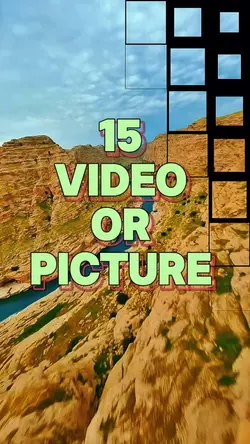 15 video or picture 