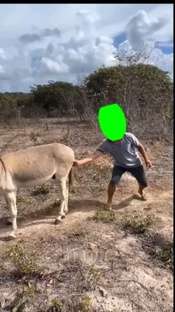FUNNY GS MEME 