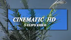 5 CLIPS VIDEO 