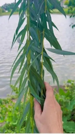 Nature photography 