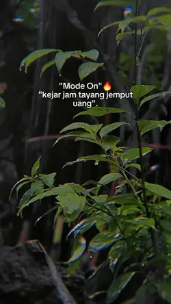bahan story