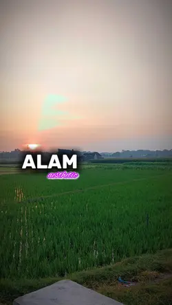 alam aesthetic