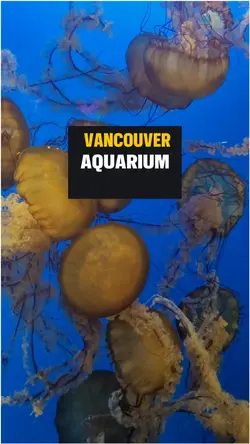 vancouver aquarium