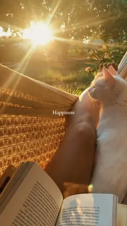Happiness