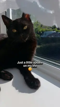 Update on my life