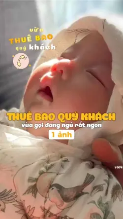 thuê bao quý khách 