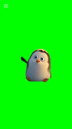 I pinguini