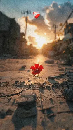 Yeni şablon 