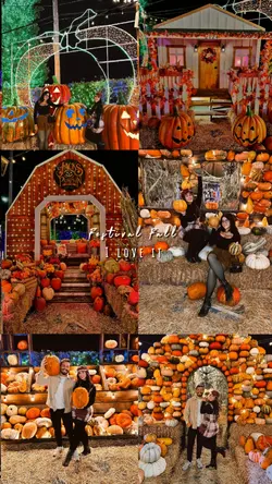 festival fall