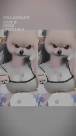filter iphone