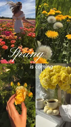 Spring is coming