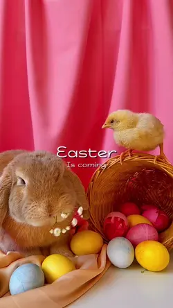 Easter is coming