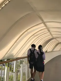 มาส่งออกกันน