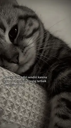 story, kecewa sama d